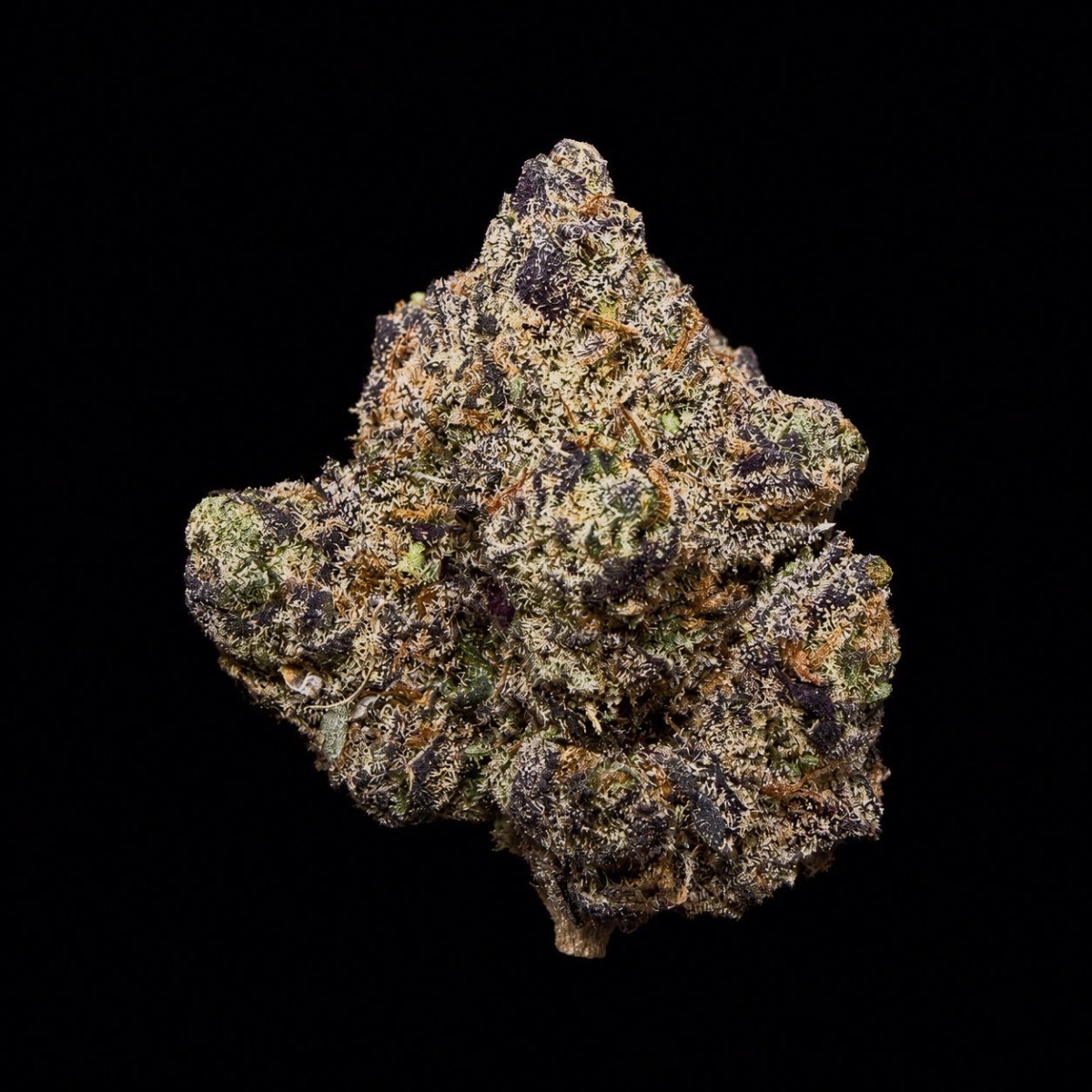 Black Runtz THCA Flower - Lost In Translation