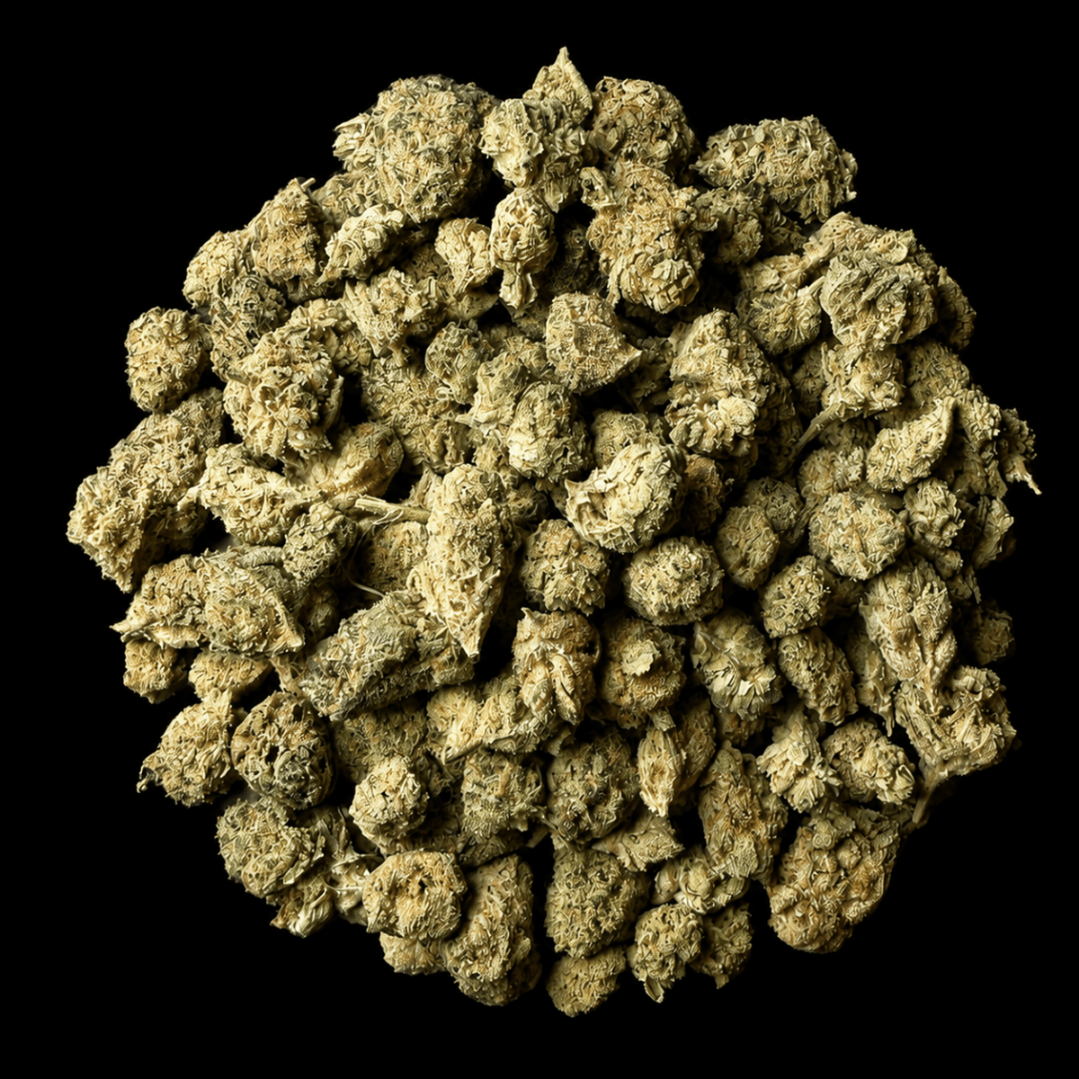 Frozen Lemonade THCA Flower - Lost In Translation