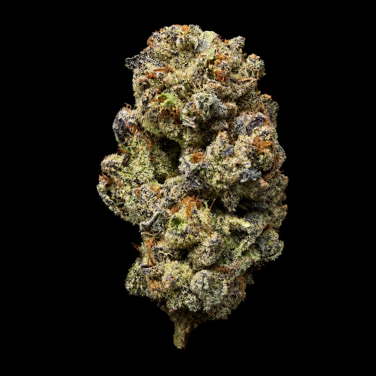 Hi-Octane THCA Flower - Lost In Translation