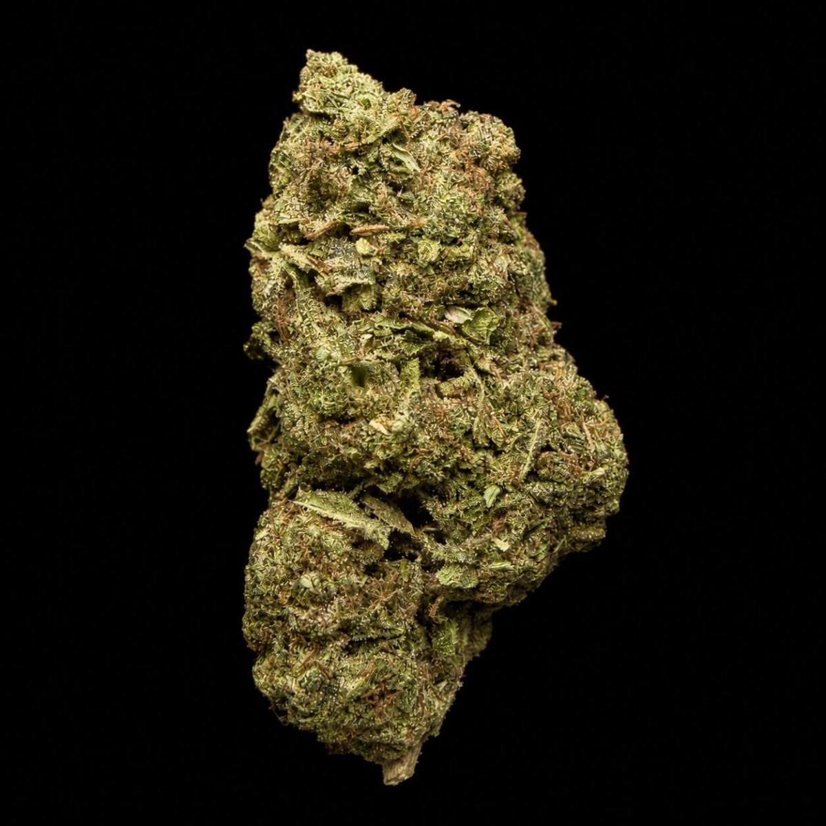 Peanut Butter Breath THCA Flower - Lost In Translation