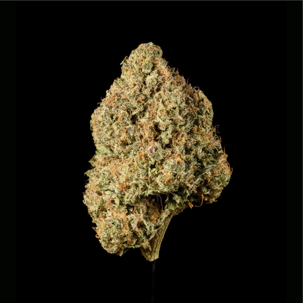 Tear Gas THCA Flower - Lost In Translation