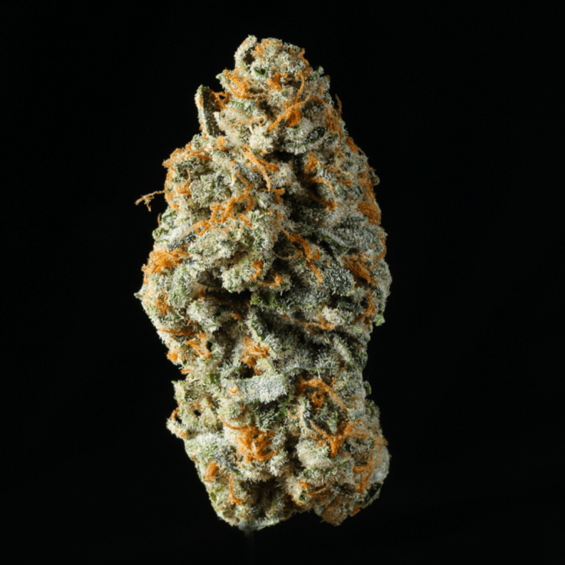 Applescotti THCA Flower - Lost In Translation