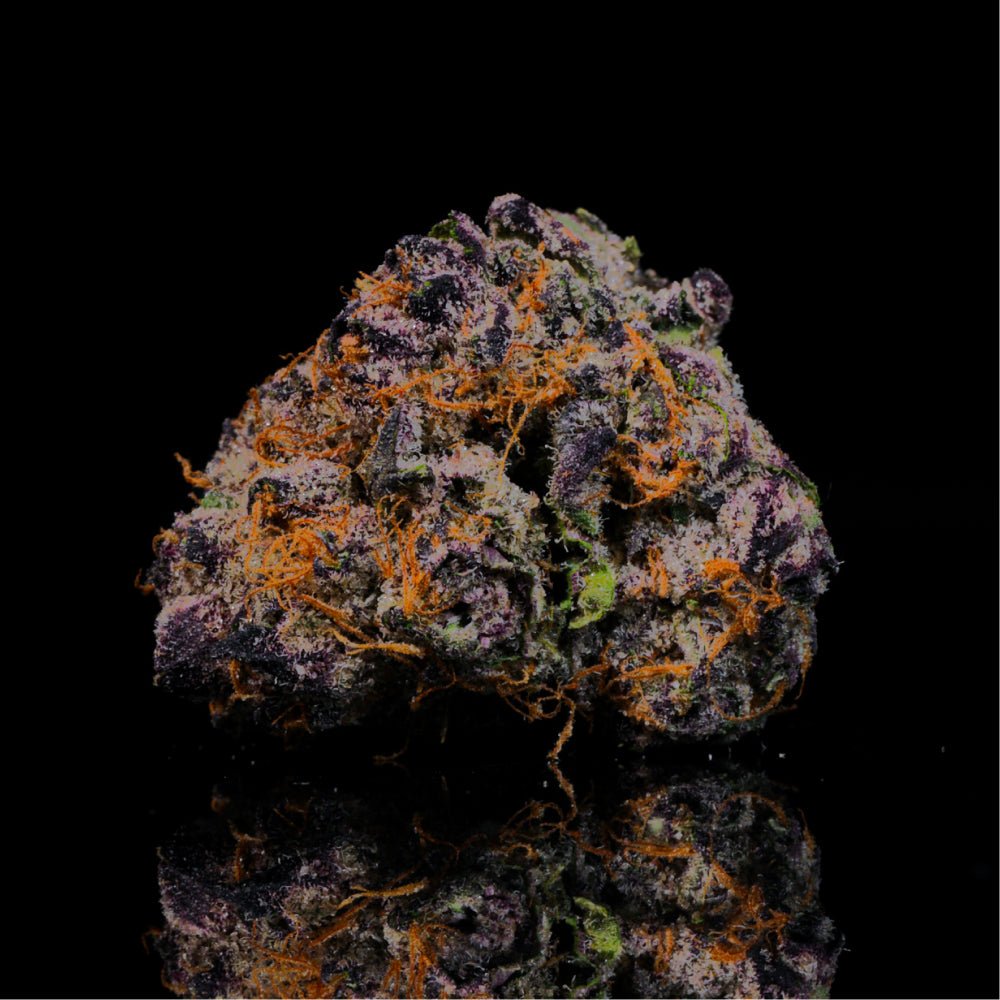 Tropical Runtz THCA Flower - Lost In Translation