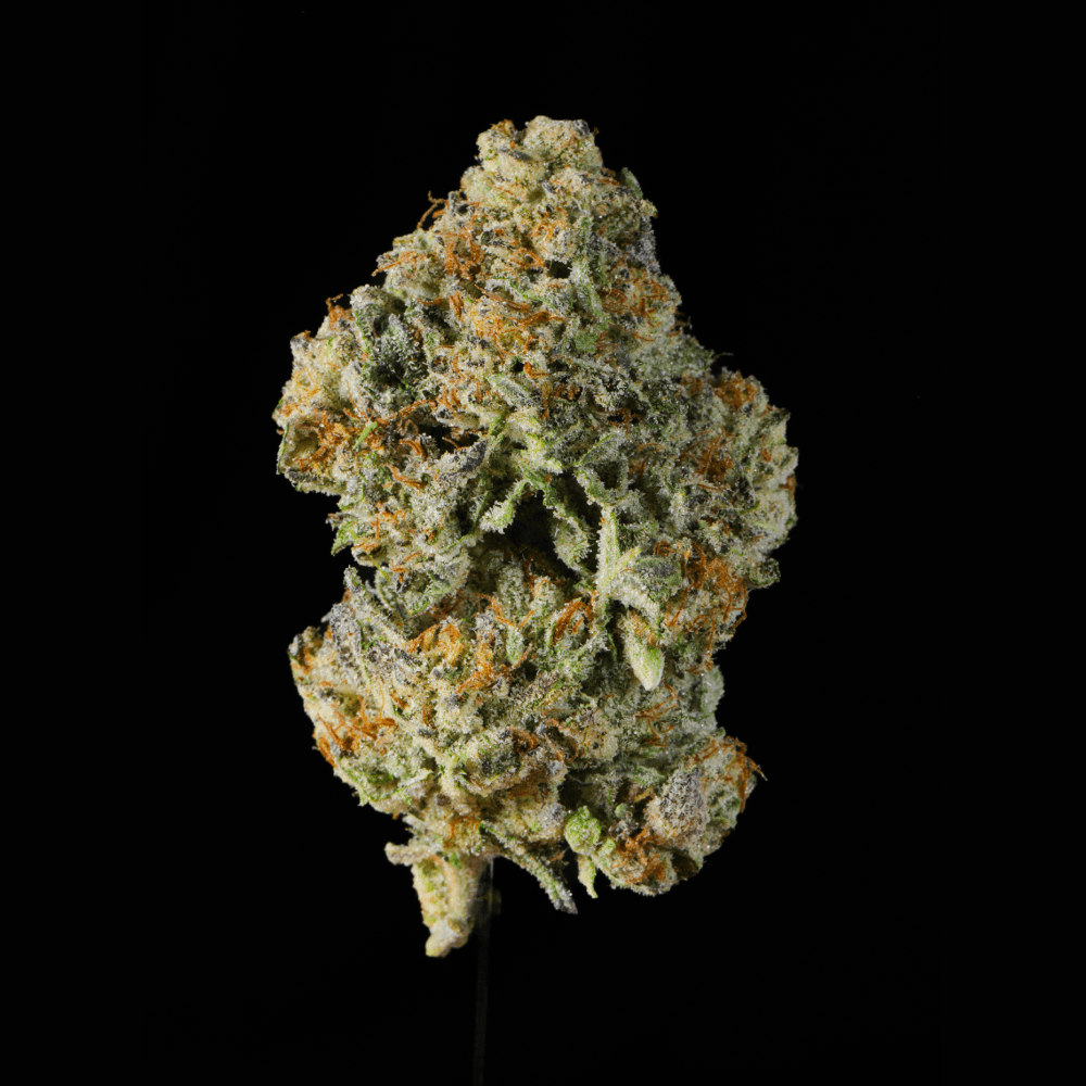 Apple Fritter THCA Flower - Lost In Translation