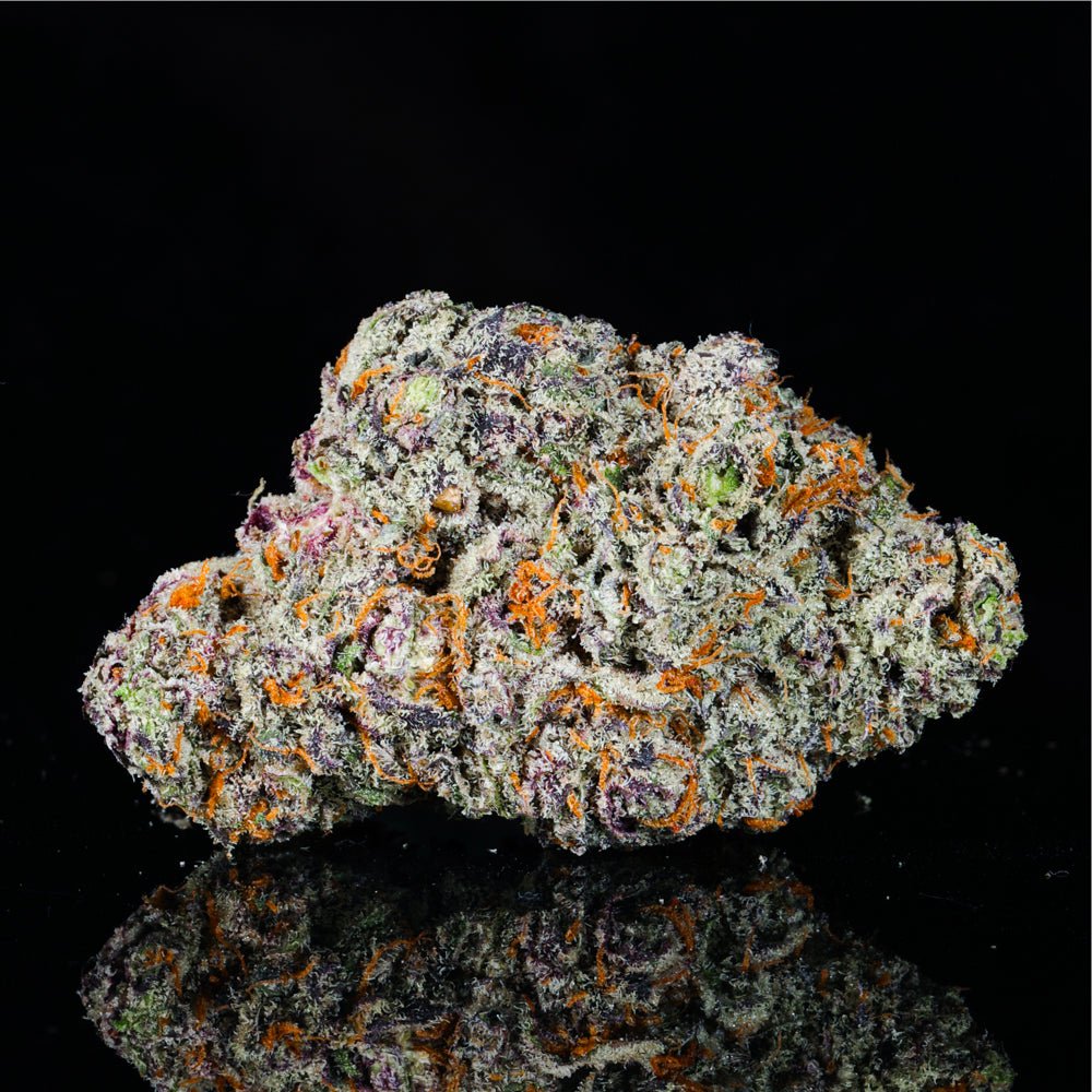 Apple Fritter THCA Flower - Lost In Translation