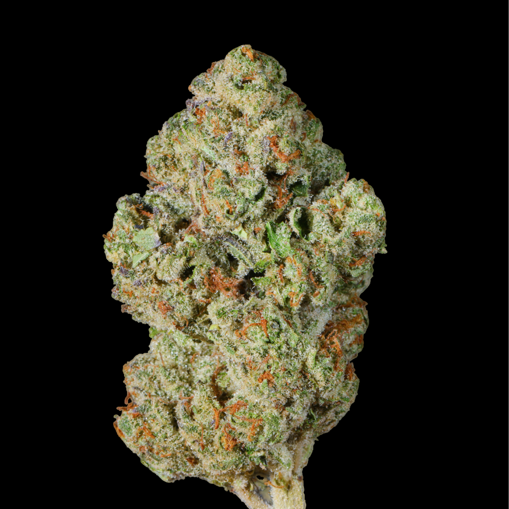 Apple Pie THCA Flower - Lost In Translation