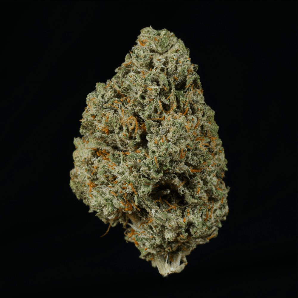 Apples ‘n Bananas THCA Flower - Lost In Translation