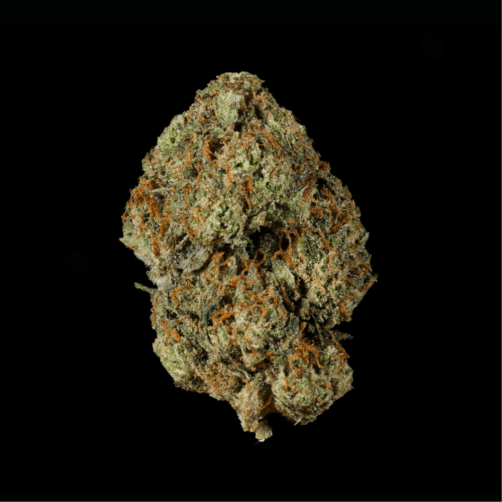 Auto Fuel THCA Flower - Lost In Translation