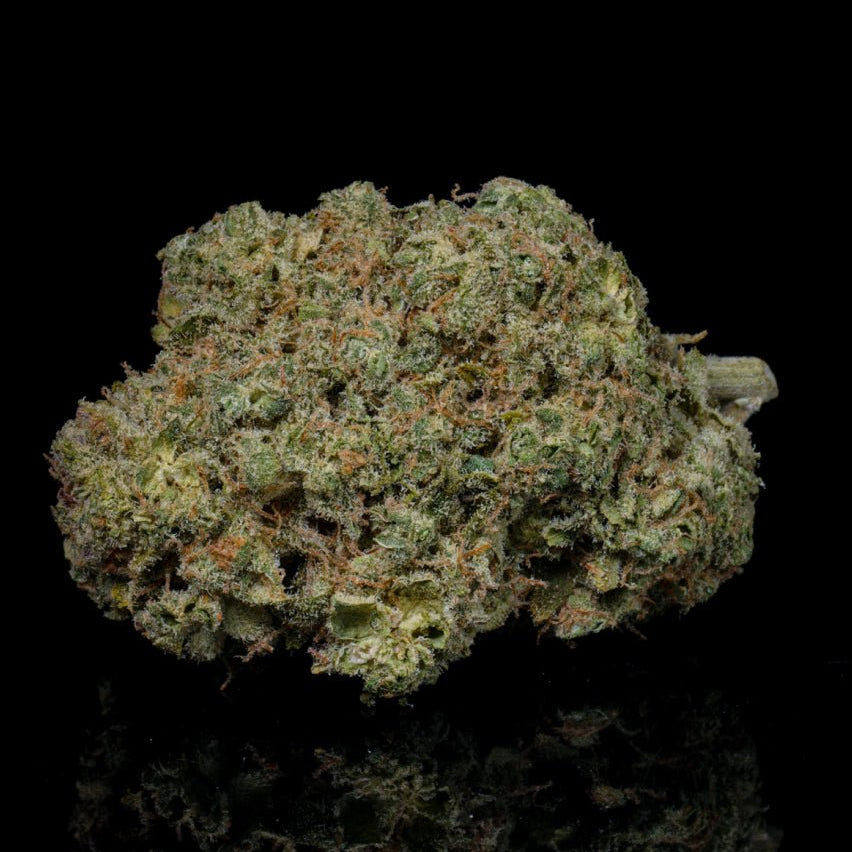 Baccio Gelato THCA Flower - Lost In Translation