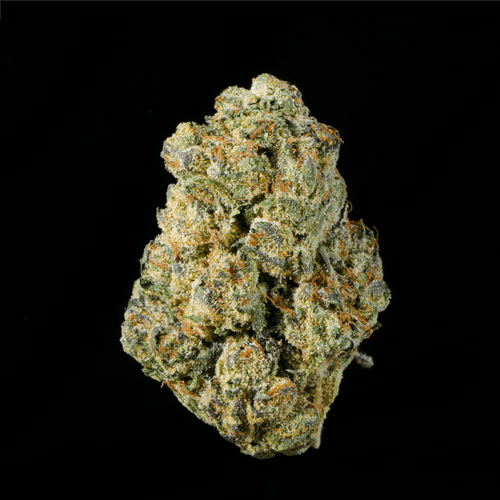 Banana Cream Pie THCA Flower