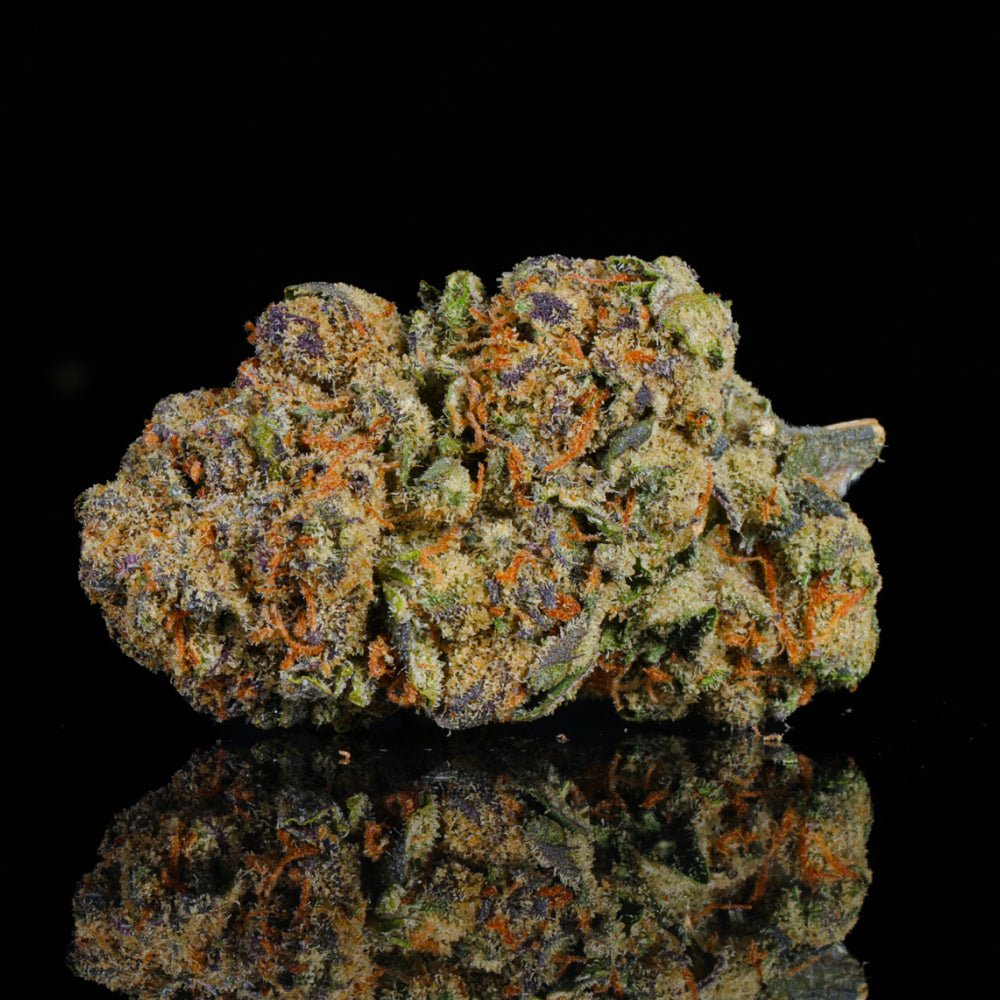 Bangkok Purple THCA Flower - Lost In Translation