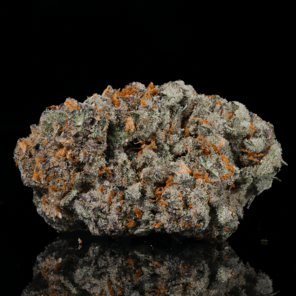 Bangkok Purple THCA Flower - Lost In Translation