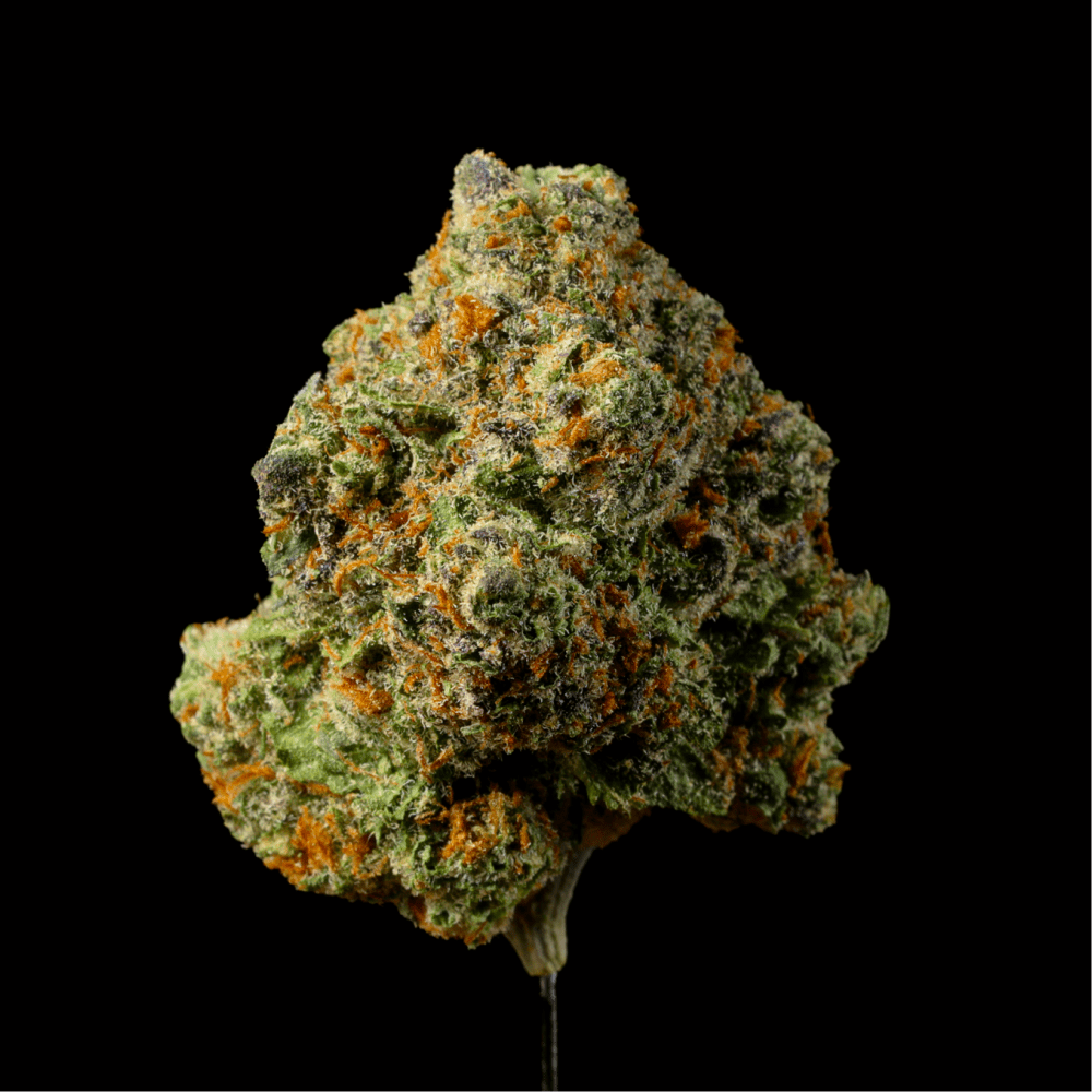 Bath Saltz THCA Flower - Lost In Translation