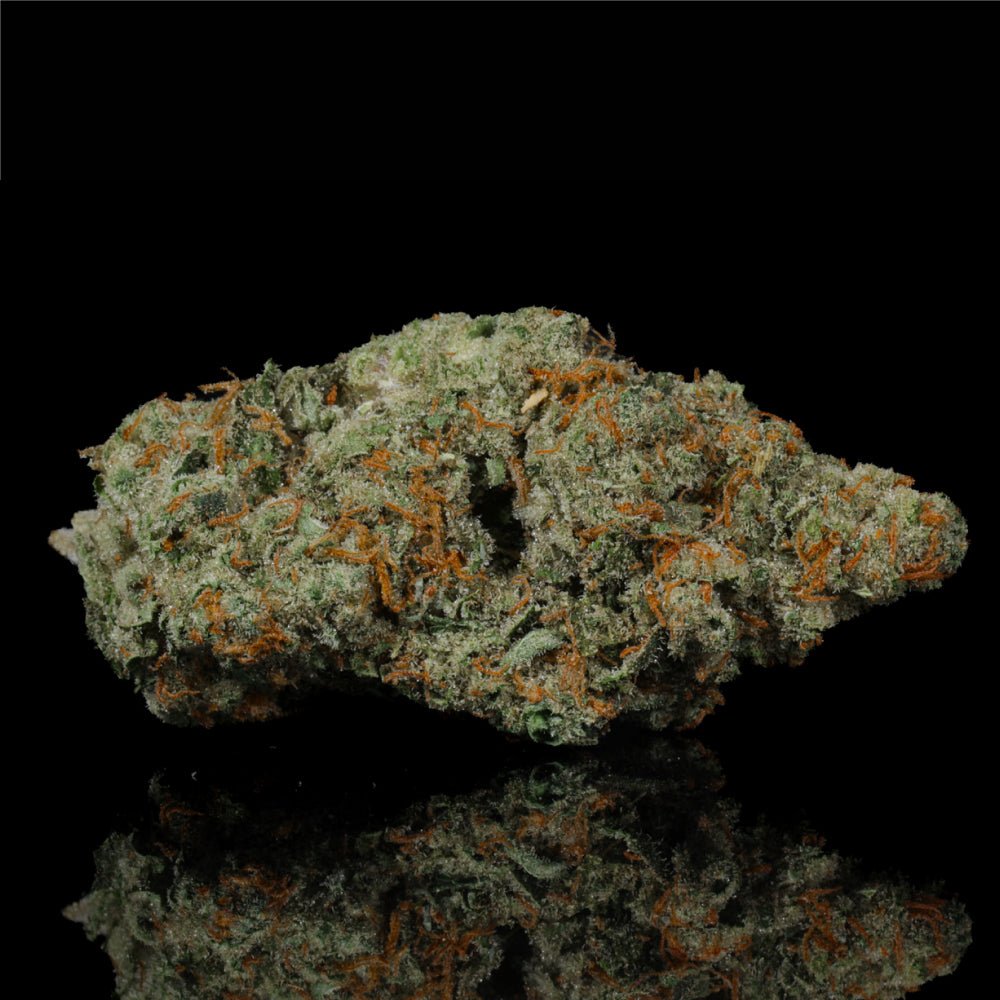 Berry Pie THCA Flower - Lost In Translation