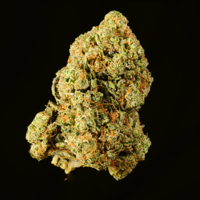 Biscotti THCA Flower - Lost In Translation