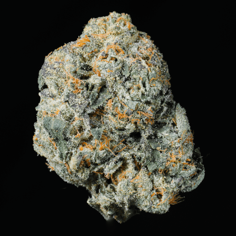 Black Runtz THCA Flower - Lost In Translation