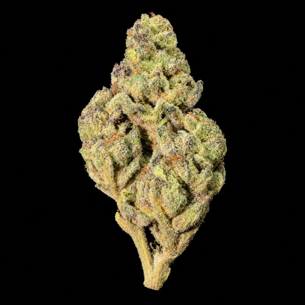 Black Truffle THCA Flower - Lost In Translation