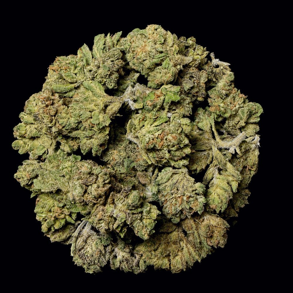 Blackberry Kush THCA Flower - Lost In Translation