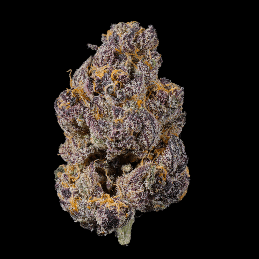 Bliss THCA Flower - Lost In Translation