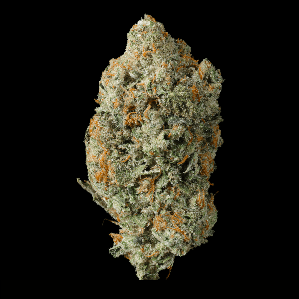 Blue Andies THCA Flower - Lost In Translation