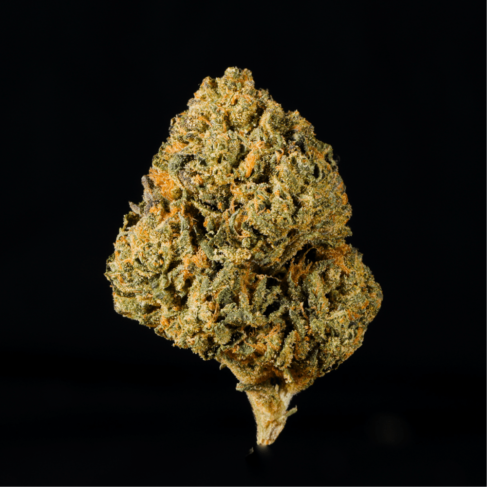 Blue Zushi THCA Flower - Lost In Translation