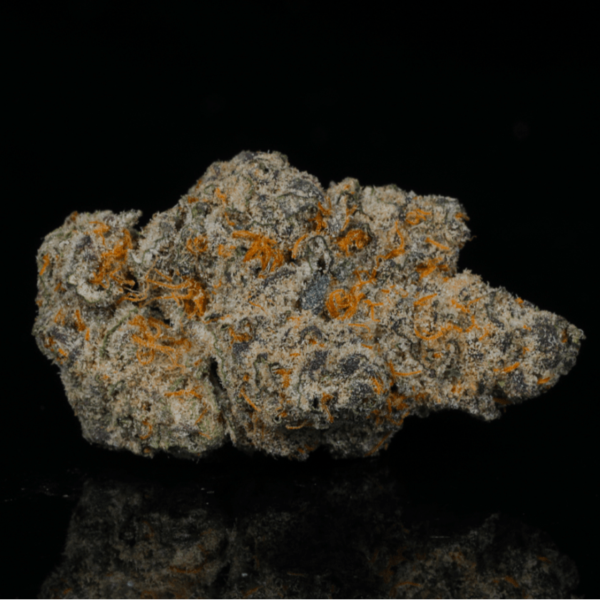 Blue Zushi THCA Flower - Lost In Translation