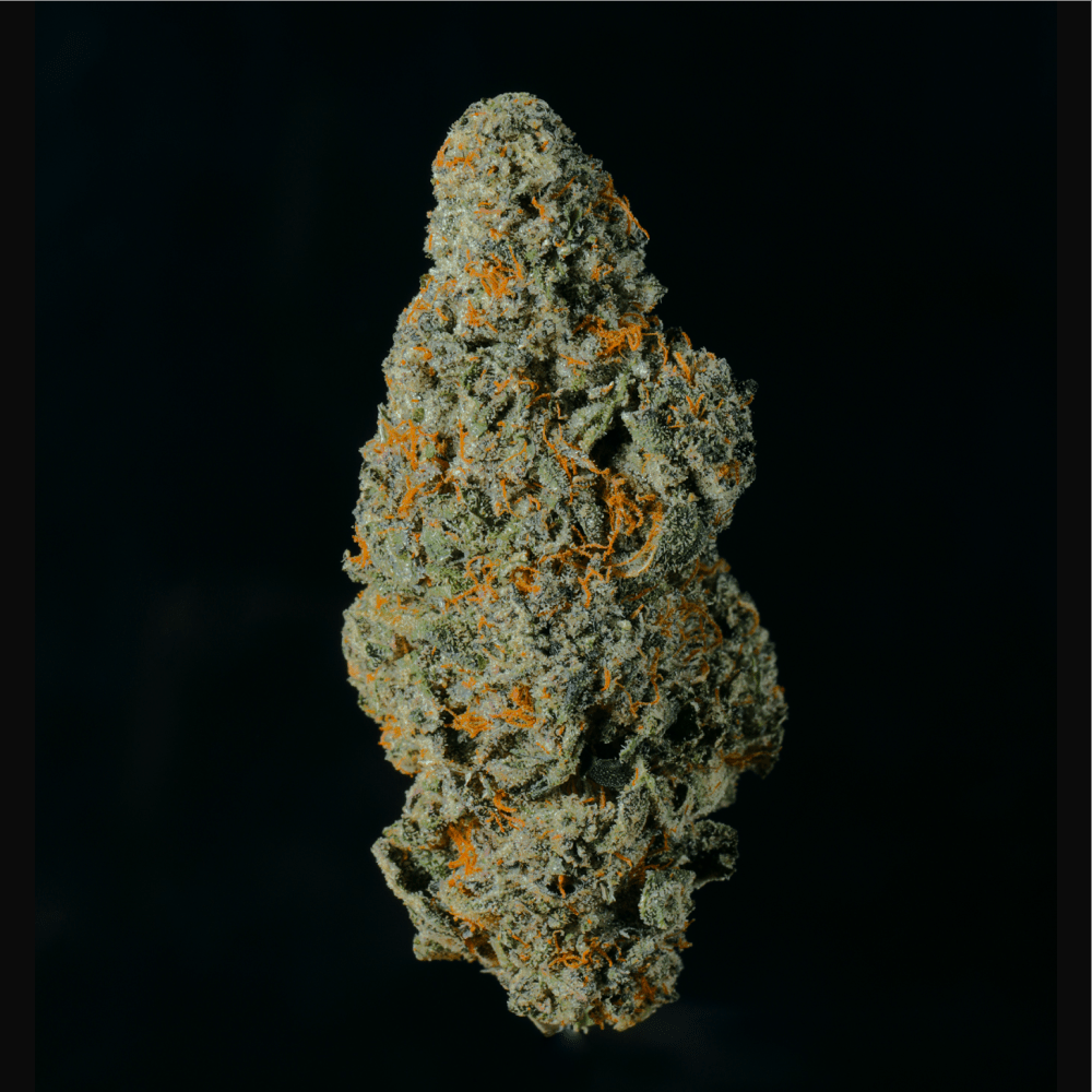 Blue Dream THCA Flower - Lost In Translation