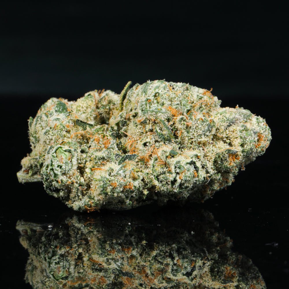 Blue Dream THCA Flower - Lost In Translation