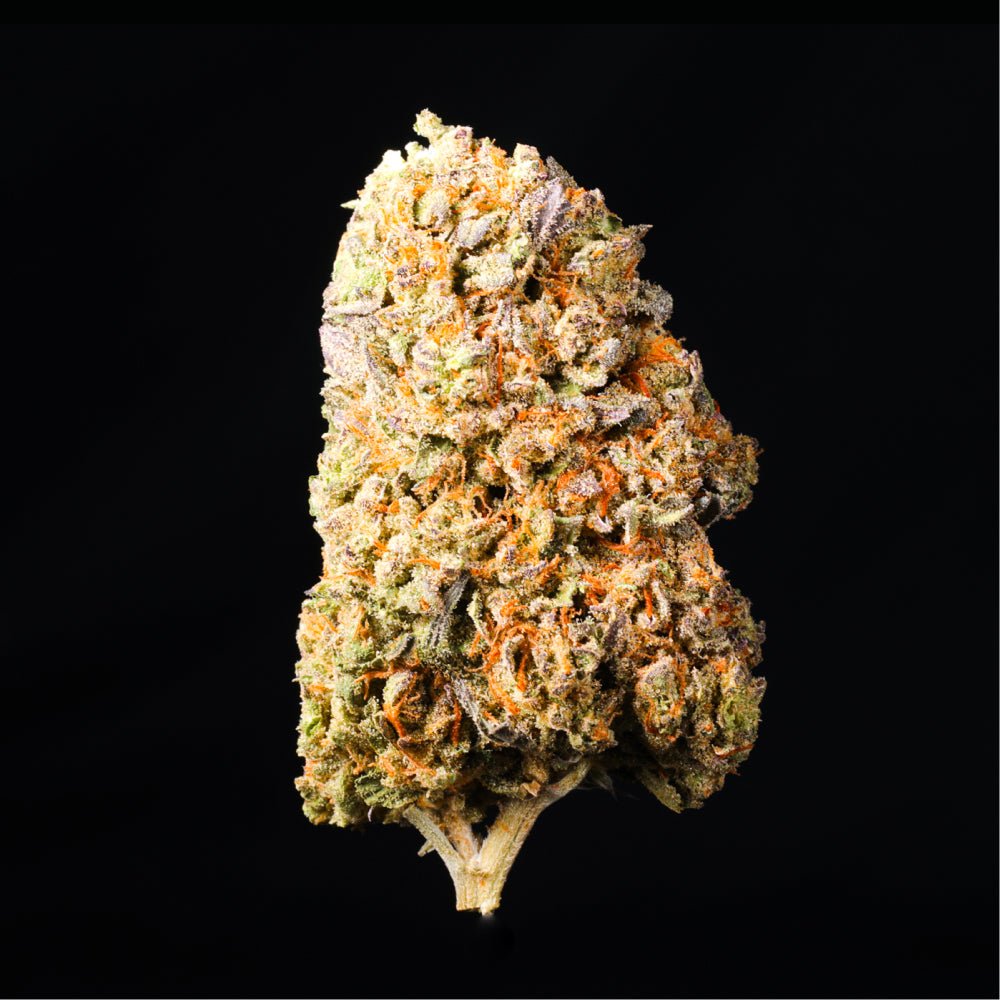 Blueberry Muffin THCA Flower - Lost In Translation