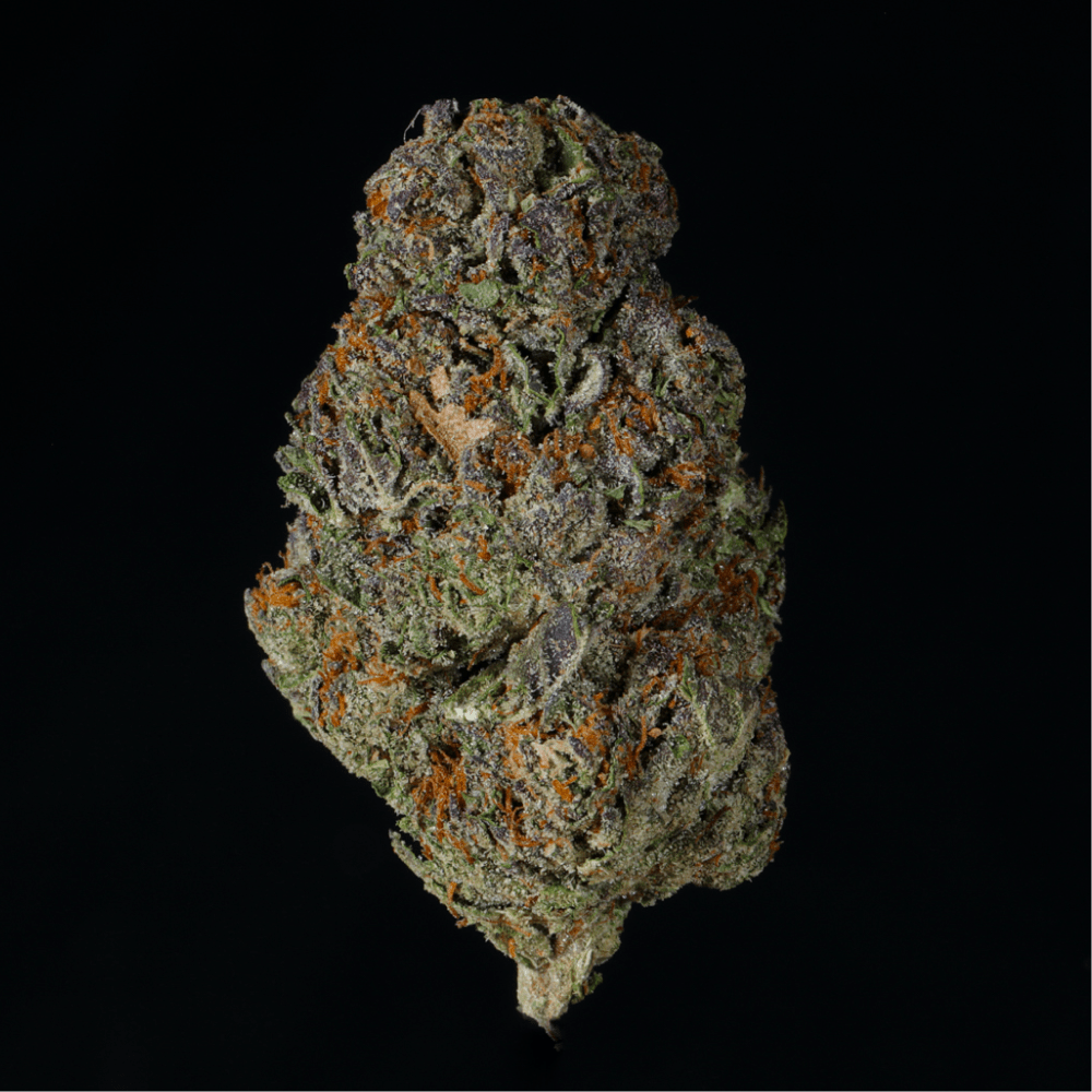 Blueberry Pancakes THCA Flower - Lost In Translation