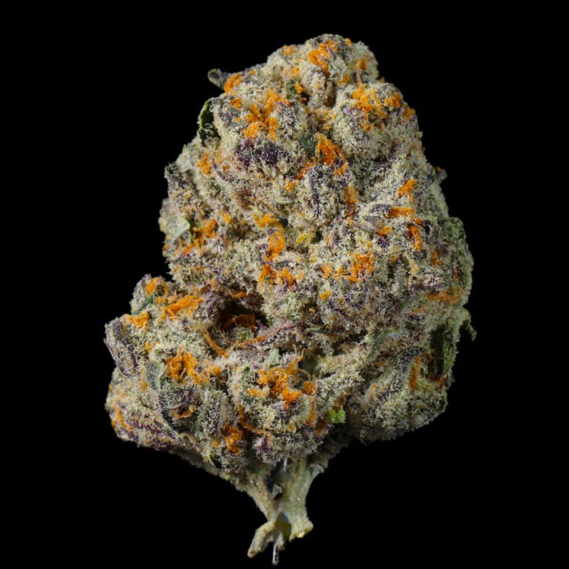 Blueberry Pancakes THCA Flower - Lost In Translation