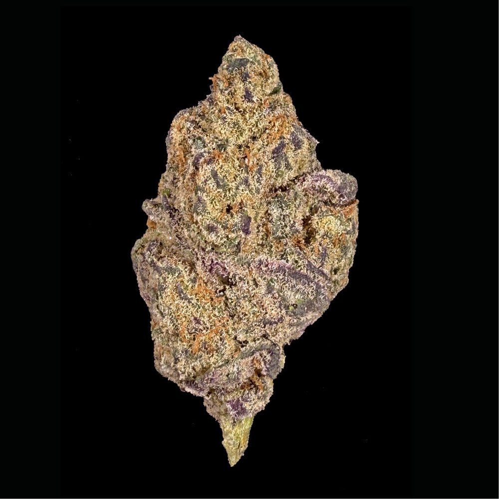 Blueberry Pancakes THCA Flower - Lost In Translation