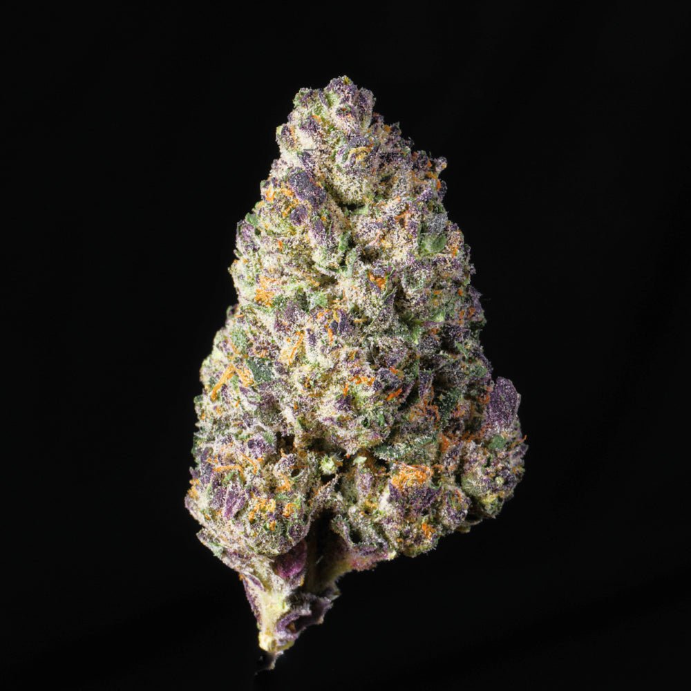 Blueberry Pancakes THCA Flower - Lost In Translation