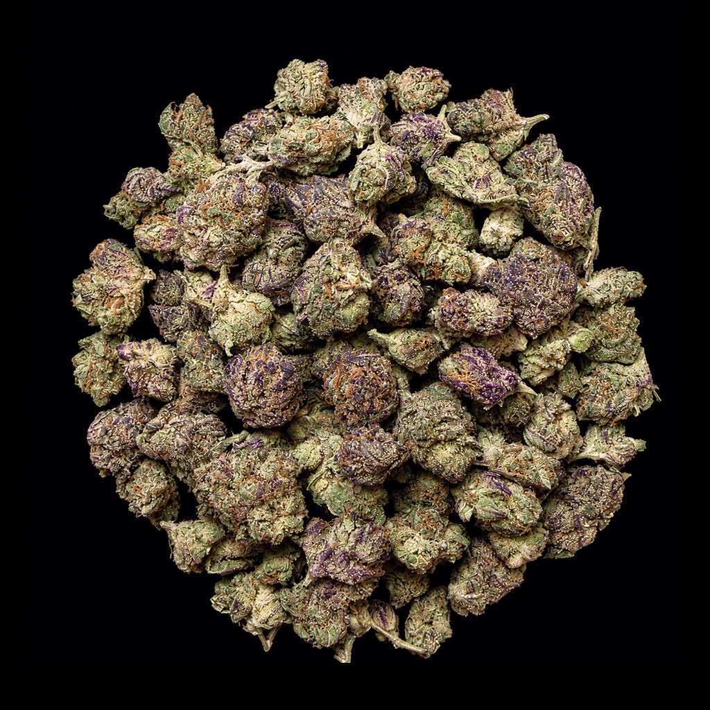 BOLO Runtz THCA Flower - Lost In Translation