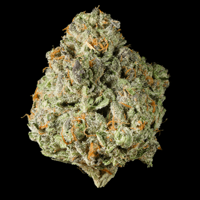 Bridesmaid THCA Flower - Lost In Translation