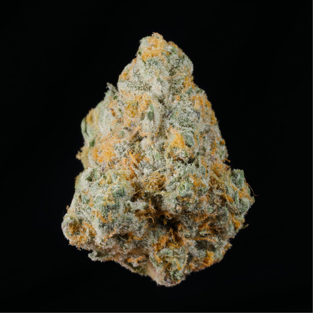 Fire Crotch THCA Flower - Lost In Translation