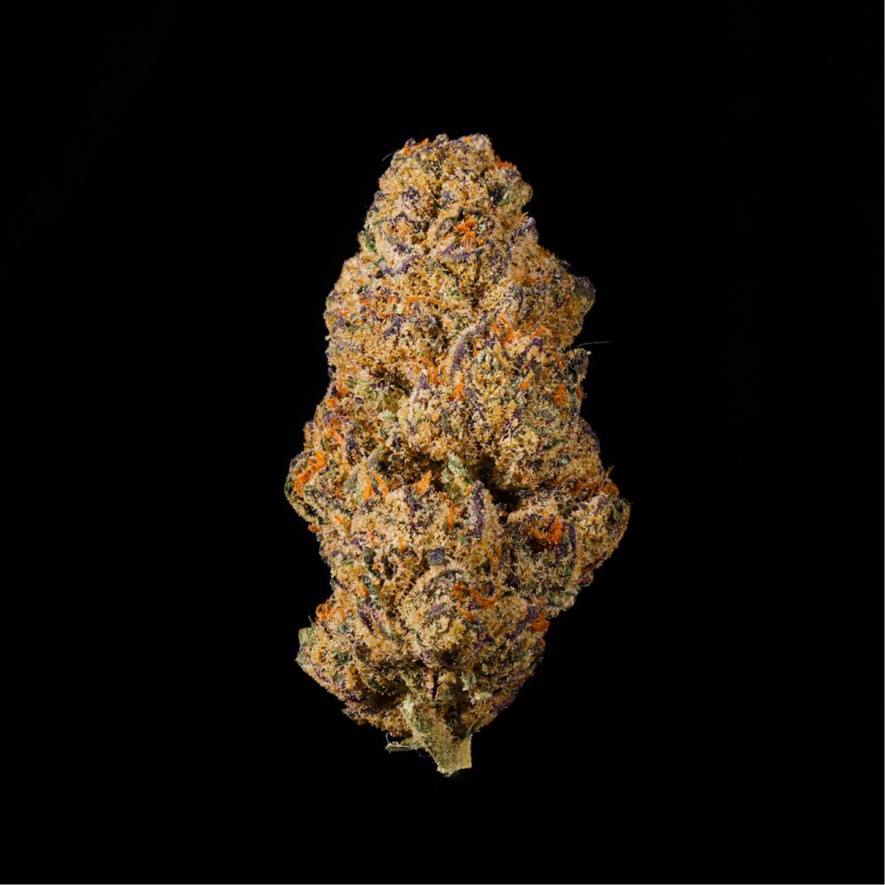 Cereal Milk THCA Flower - Lost In Translation