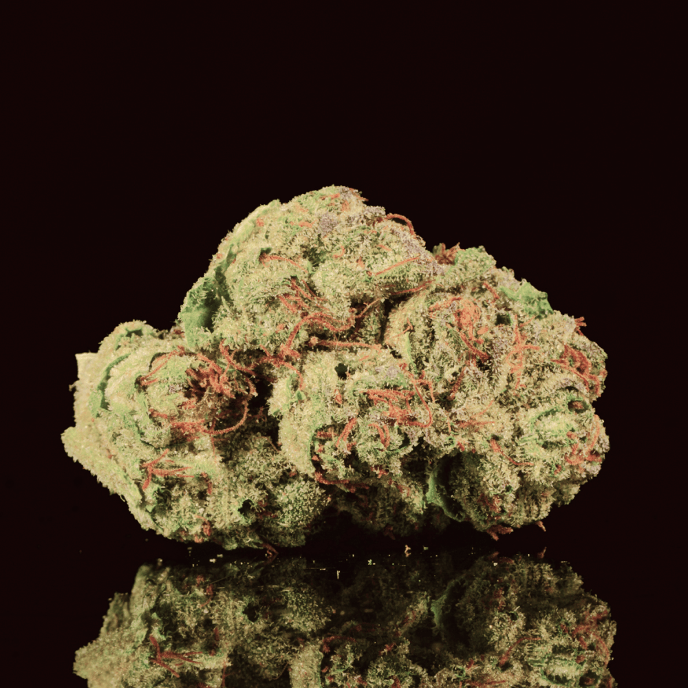 Cereal Milk THCA Flower - Lost In Translation