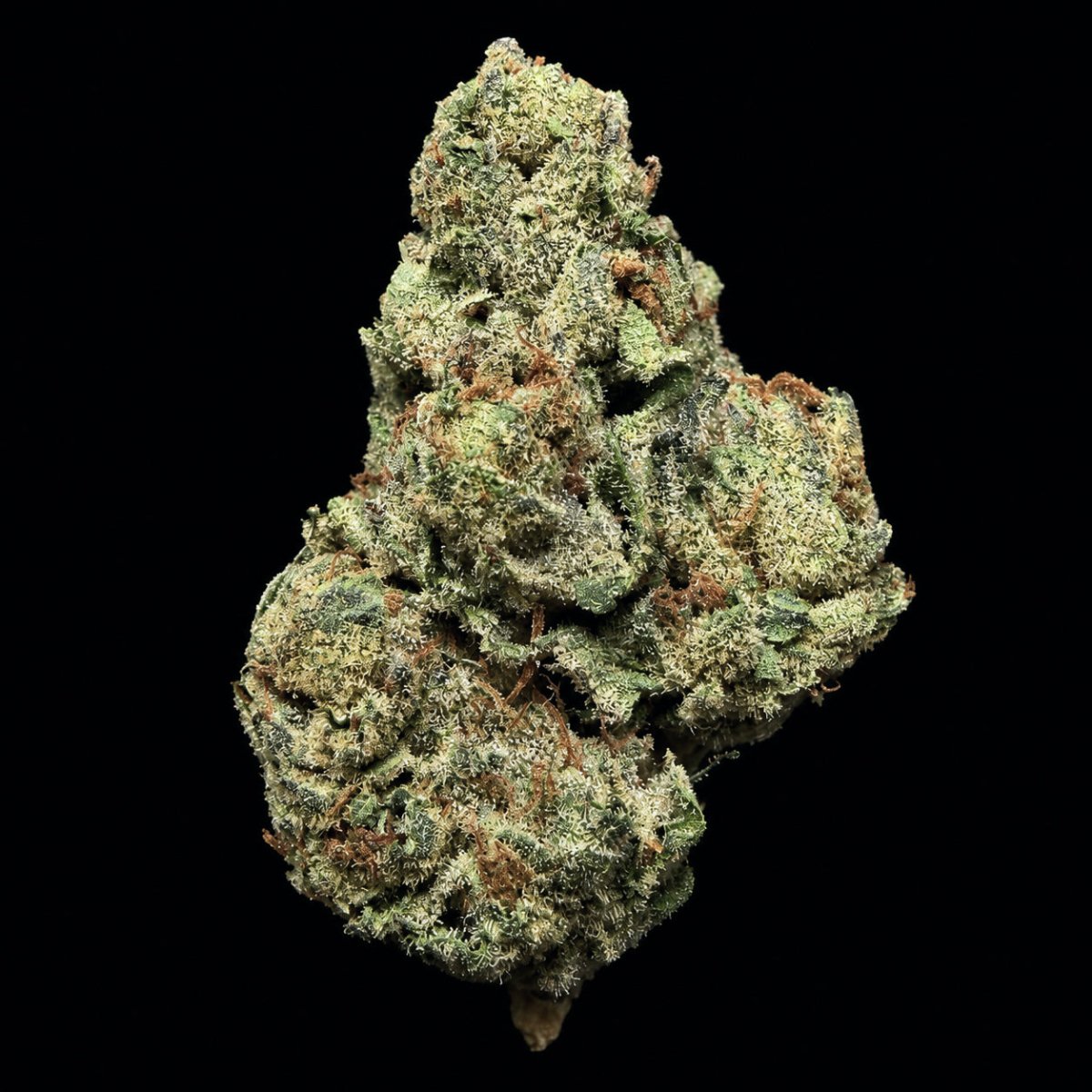 Blue Zushi THCA Flower - Lost In Translation