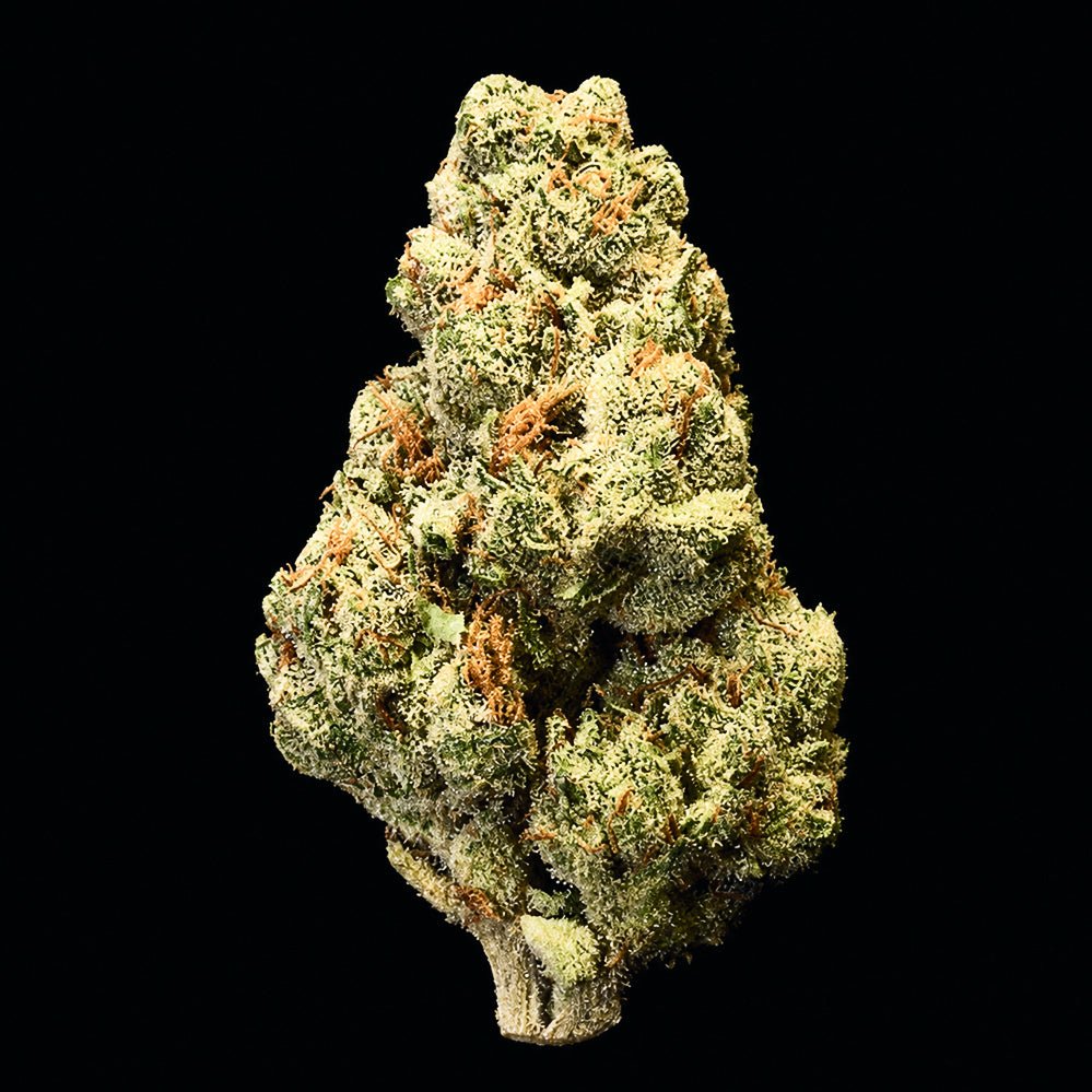 Guava Runtz THCA Flower - Lost In Translation