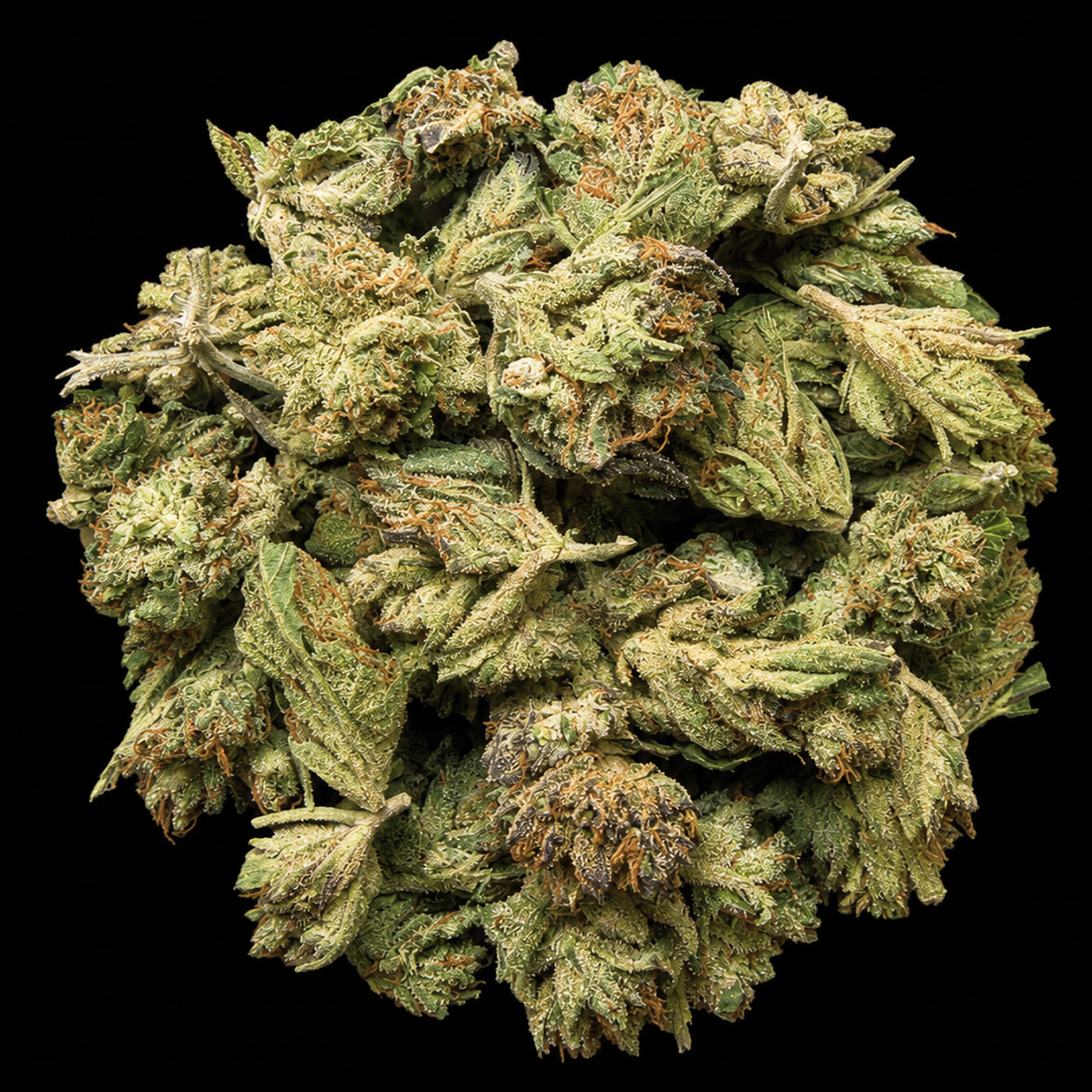 Runtz THCA Flower