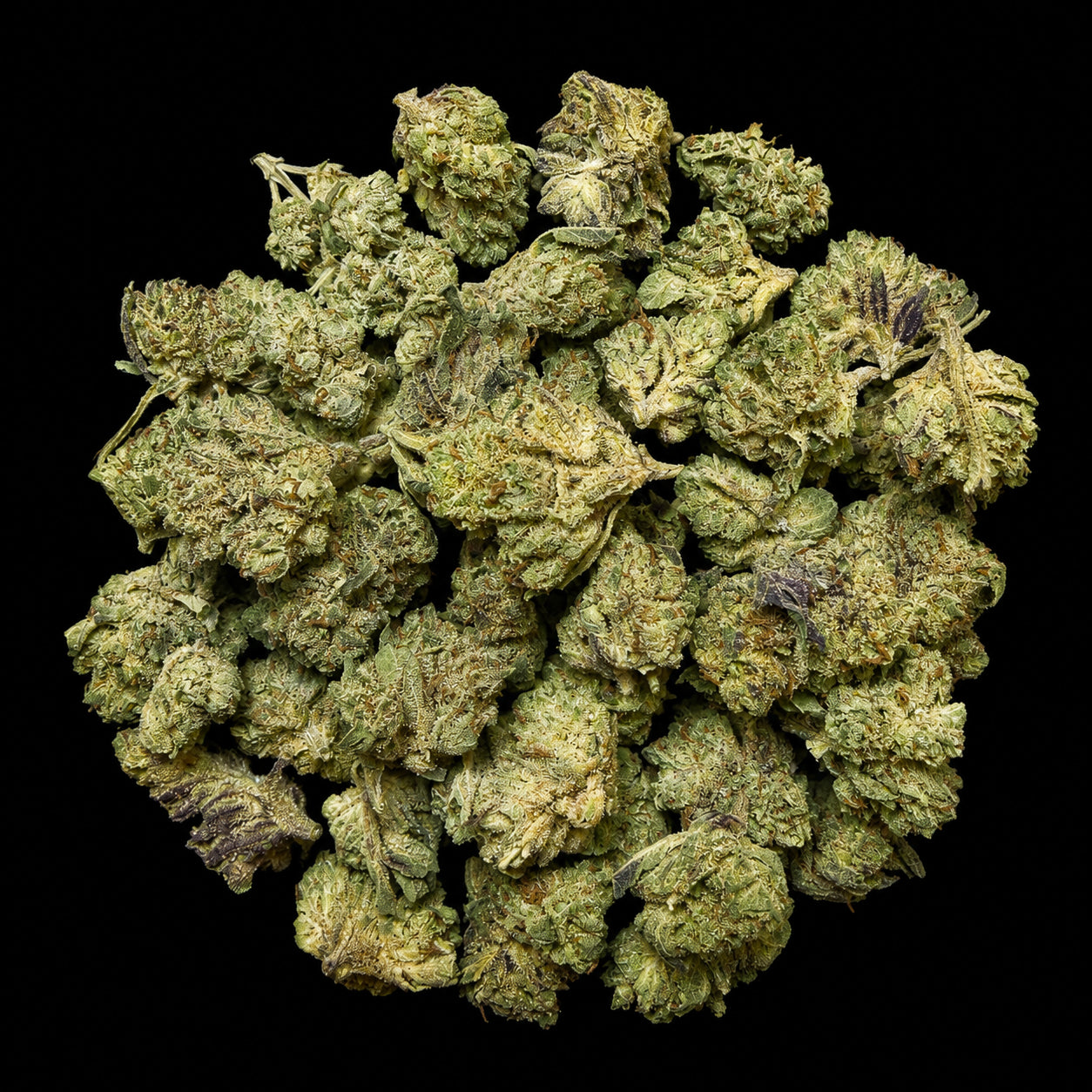 Biscotti THCA Flower