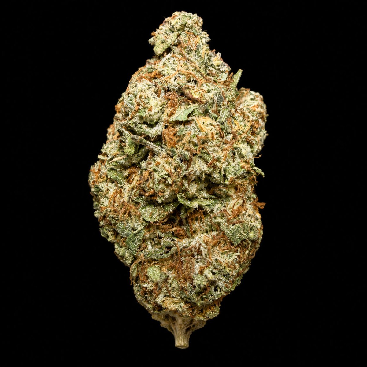 Runtz THCA Flower - Lost In Translation