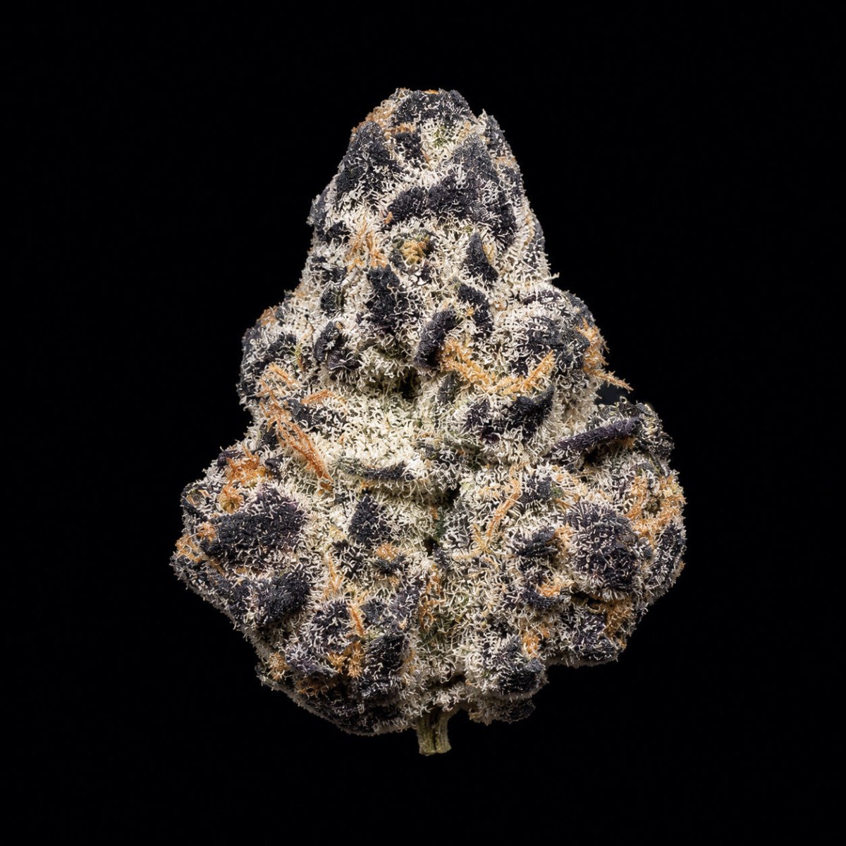 Sharpiez THCA Flower - Lost In Translation