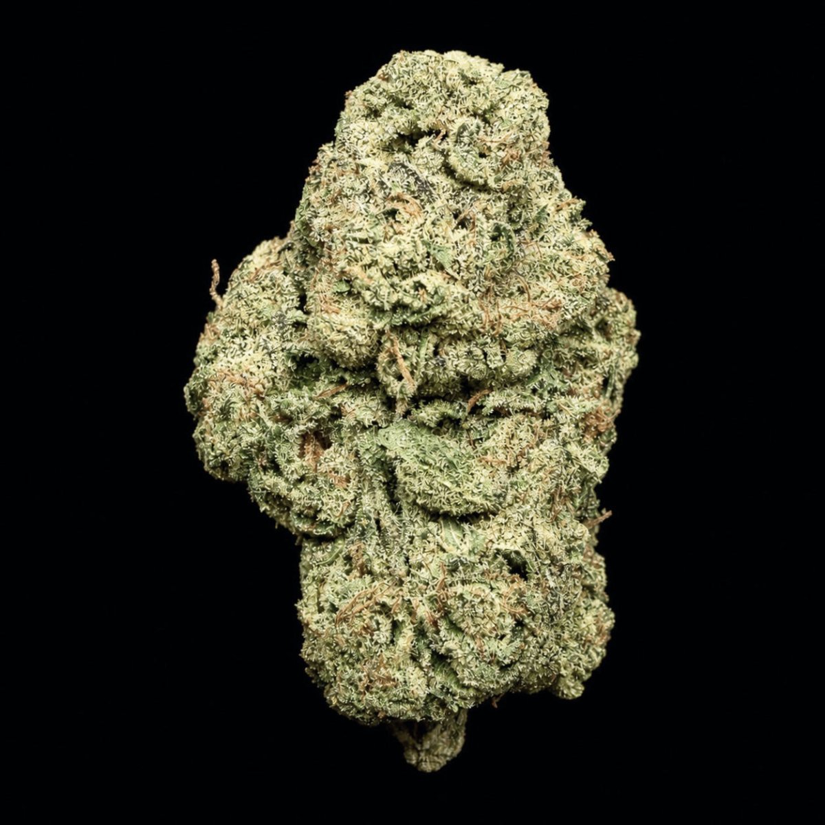 Pink Kitty THCA Flower - Lost In Translation