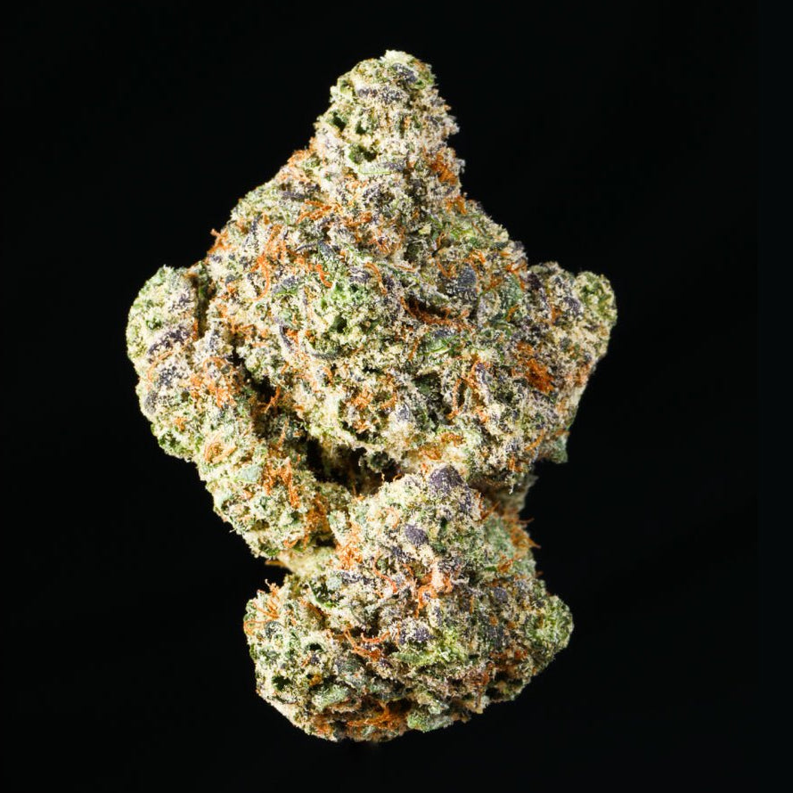 Cheetah Piss THCA Flower - Lost In Translation