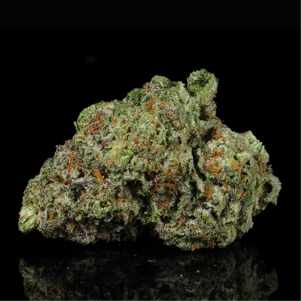 Candyland THCA Flower - Lost In Translation