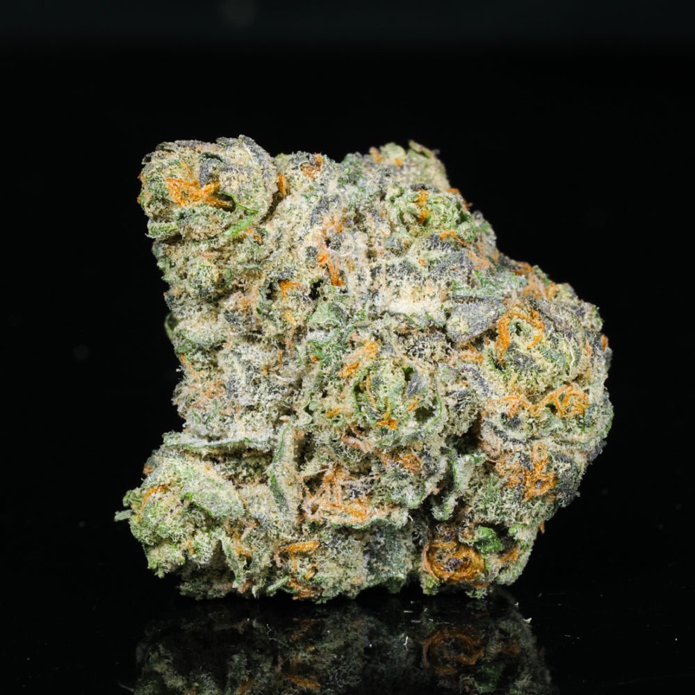 Cheetah Piss THCA Flower - Lost In Translation