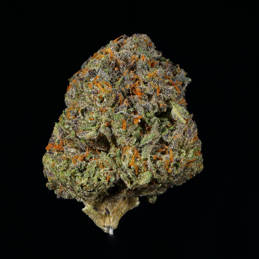 Cherry Bomb THCA Flower - Lost In Translation