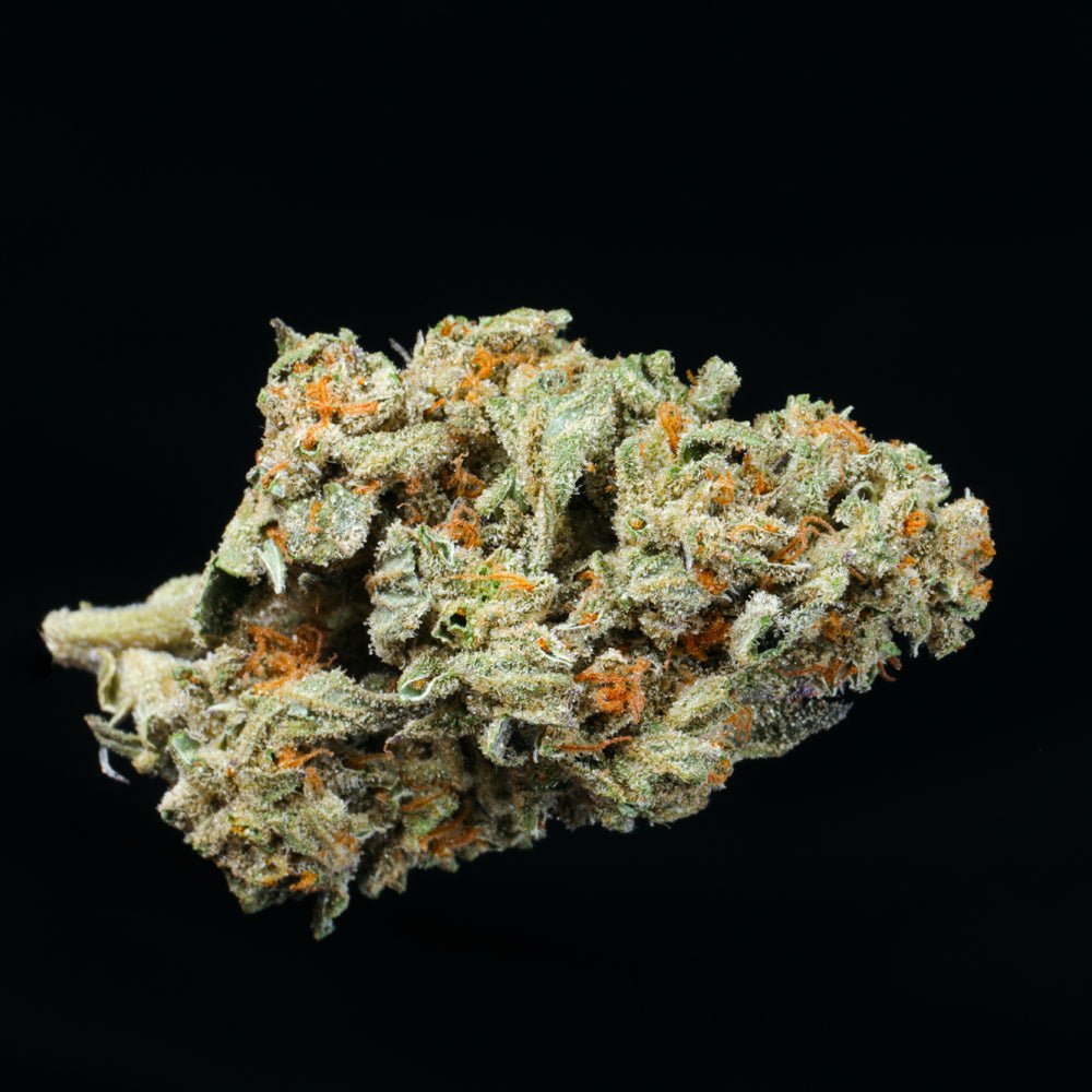 Diesel Poison THCA Flower - Lost In Translation